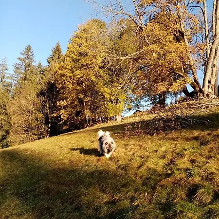 Lehengut * Eben Im Pongau