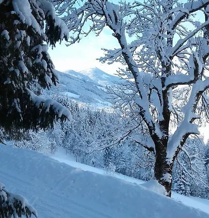 Lehengut Eben Im Pongau