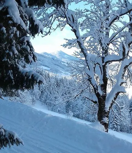 Lehengut Eben Im Pongau
